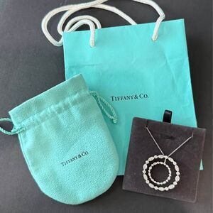 Rare Tiffany & Co. Jazz Swing Double Circle Diamond Necklace Platinum 1.00 TCW